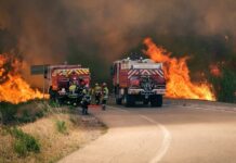 Ford Lifesavers: Ένα επεισόδιο για τους ήρωες της Γαλλικής Πυροσβεστικής
