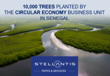 Η Stellantis φυτεύει ακόμα 10.000 δέντρα