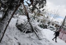 Έτσι θα αποζημιωθείτε για ζημιές από καιρικά φαινόμενα