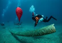 Η Hyundai επεκτείνει τη συνεργασία της με τη HealthySeas