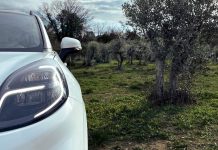 Ford: Εξαρτήματα από… κλαδιά ελιών!