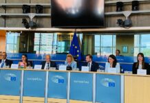 Δύο Ελληνίδες στην Επιτροπή Μεταφορών του Ευρωκοινοβουλίου!