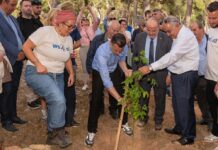 Το Ε.Ε.Α. αρωγός σε μία πιο «πράσινη» Αθήνα