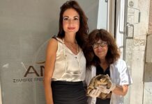 O όμιλος Σαρακάκη σταθερός υποστηρικτής του έργου της ΑΝΙΜΑ