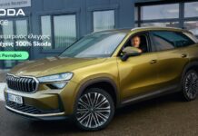 Χειμερινός έλεγχος 15 σημείων από την Skoda