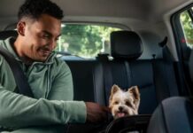 Uber Taxi Pet και στην Ελλάδα!