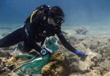 ΔΕΗ: Στρατηγικές συνεργασίες για τον καθαρισμό των παράκτιων περιοχών