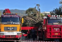 Τα φορτηγά MAN «φέρνουν» τα Χριστούγεννα στην Καλαμάτα