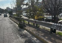 Σε ζαρντινιέρες έχουν μετατραπεί τα φρεάτια στον Κηφισό! Αποκαλυπτικές φωτογραφίες