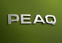 Skoda Peaq: Το νέο ηλεκτρικό 7θέσιο – Πότε έρχεται στην αγορά;